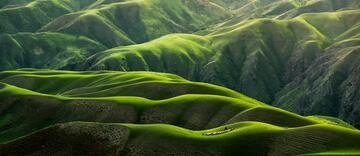 hills
