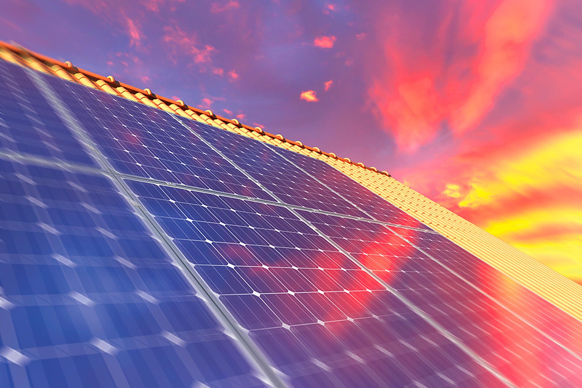 Solar Panels in sunset