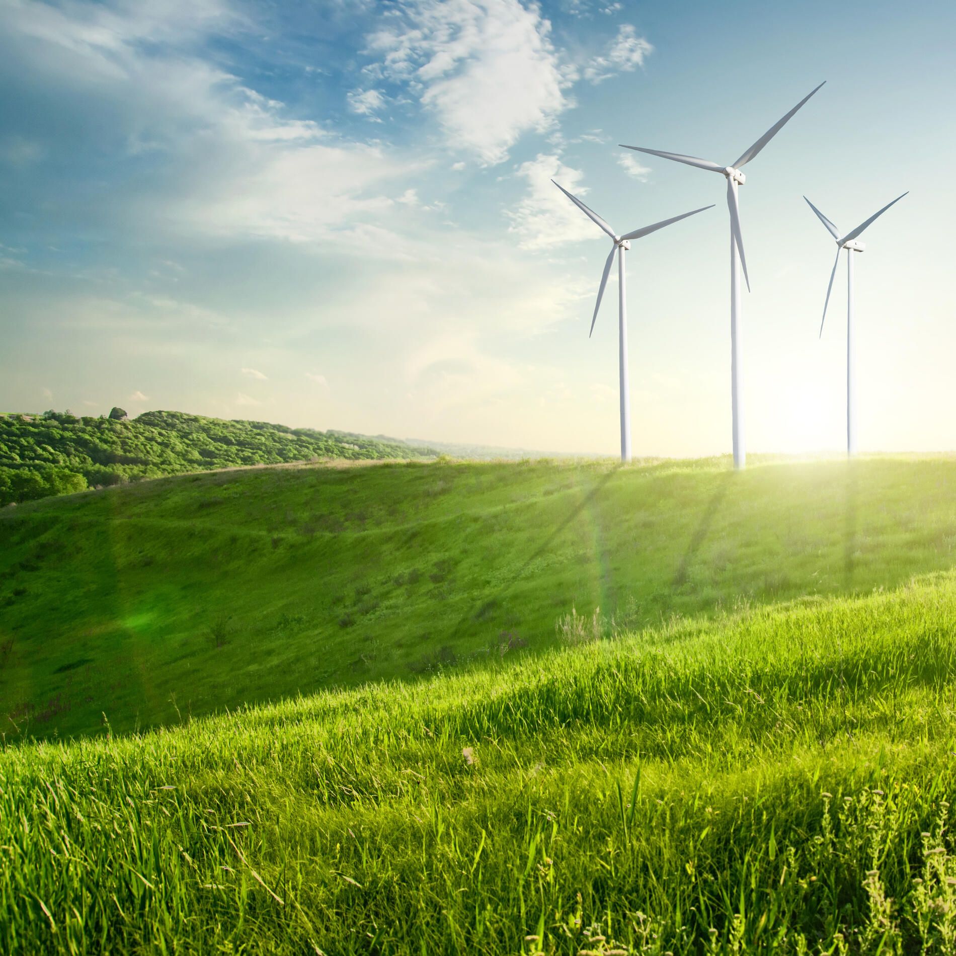 Wind turbines generating electricity across a green landscape under a bright sky
